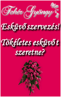 Esk�v�szervez�s!